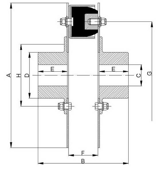 Radiaflex Kupplung RTP Model